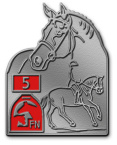 Reitabzeichen 5